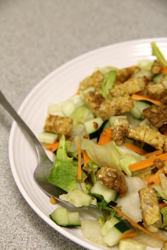 Asian Tempeh Salad Amy's Healthy Baking
