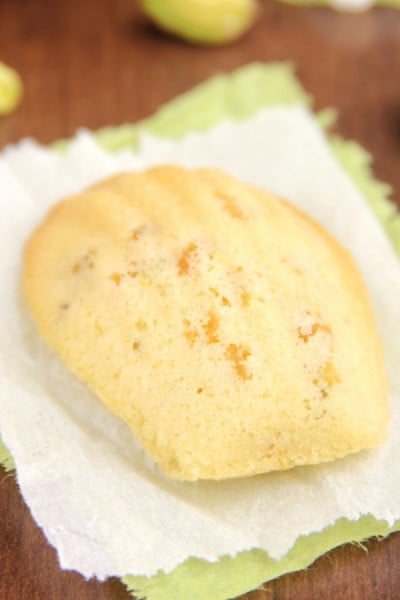 Apricot Pistachio Madeleines