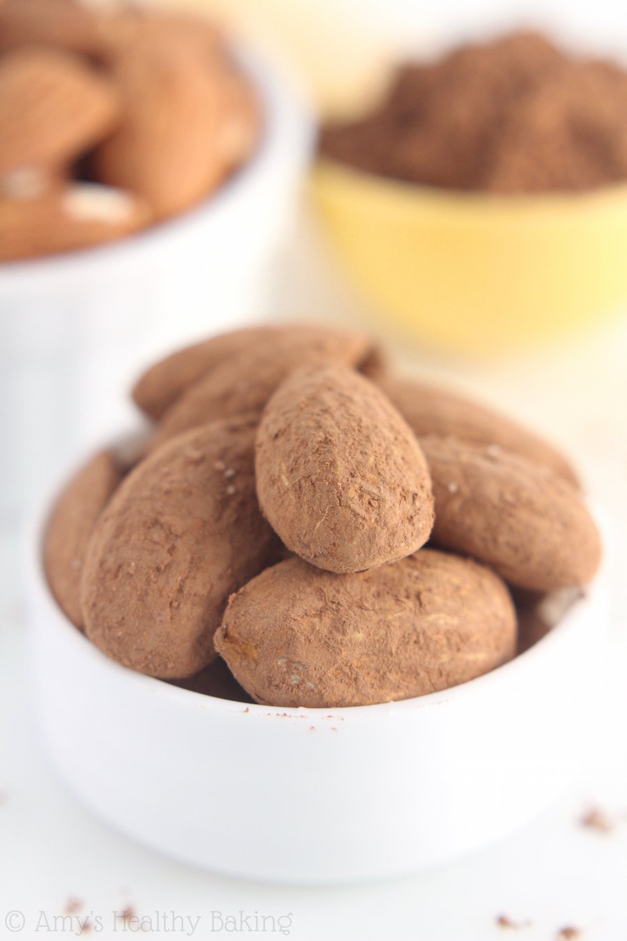 Cocoa Roasted Almonds -- just 3 ingredients + 20 minutes to make this DIY gourmet snack!