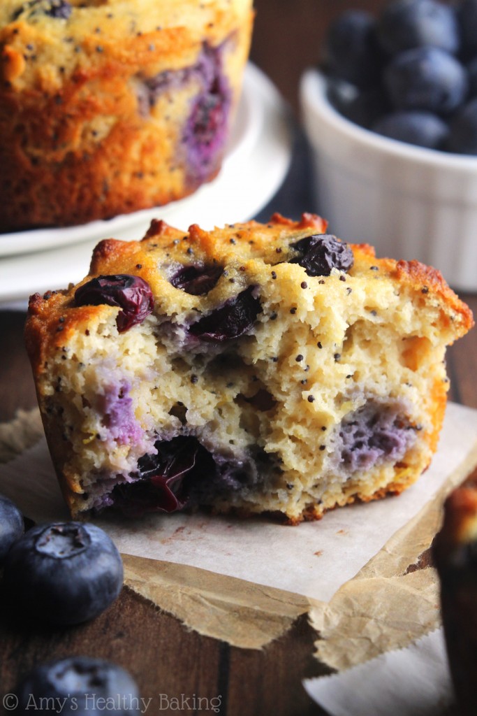 Healthy Blueberry Lemon Poppy Seed Protein Muffins Amy's Healthy Baking