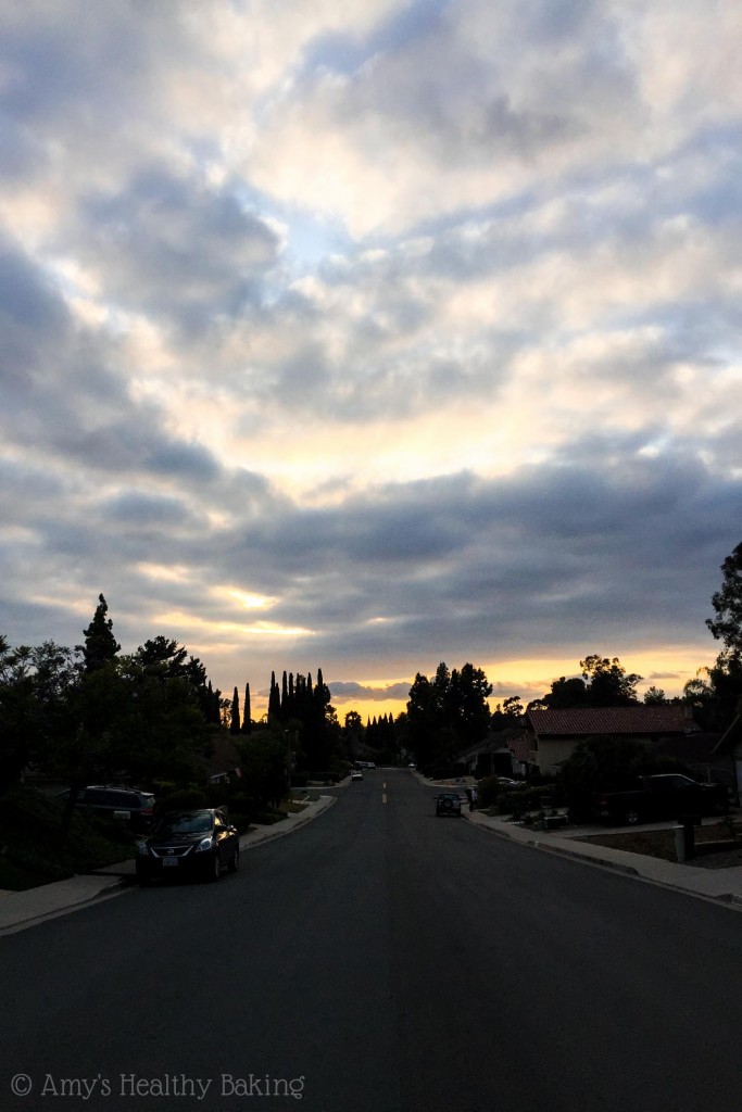 Sunday Spotlight Amy's Healthy Baking