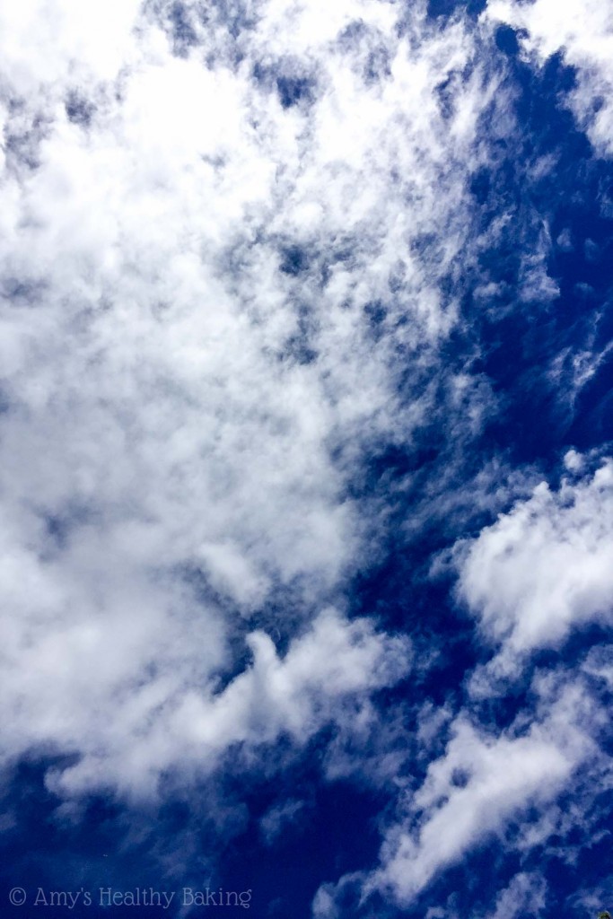 Sunday Spotlight Amy's Healthy Baking