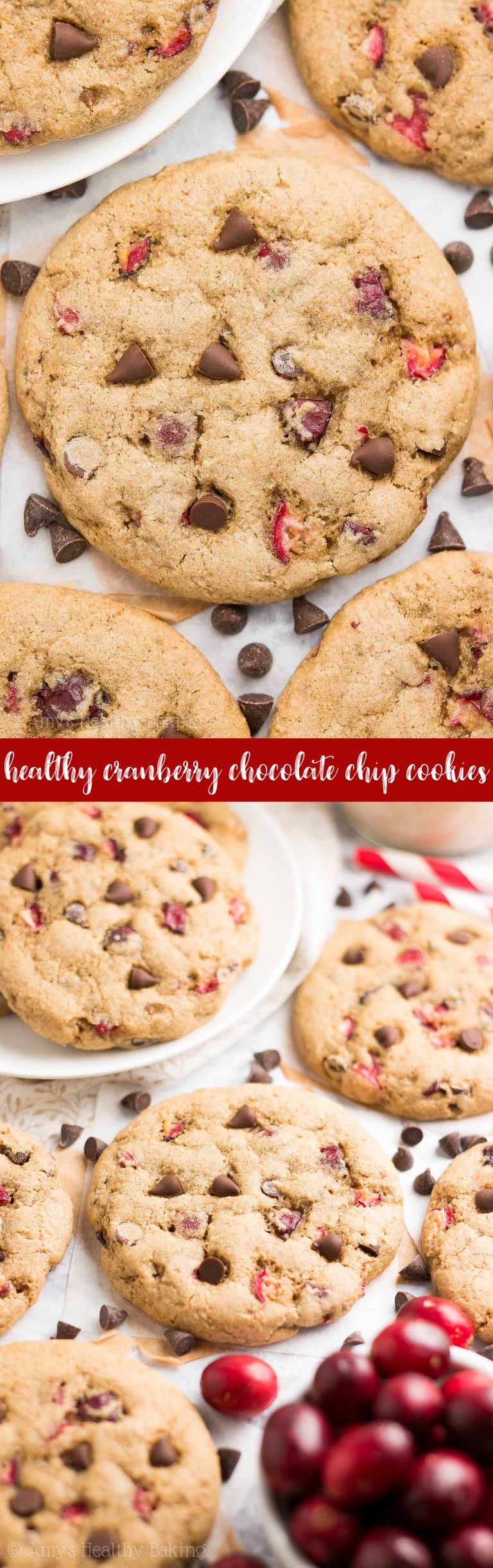 Healthy Cranberry Chocolate Chip Cookies Amy's Healthy Baking