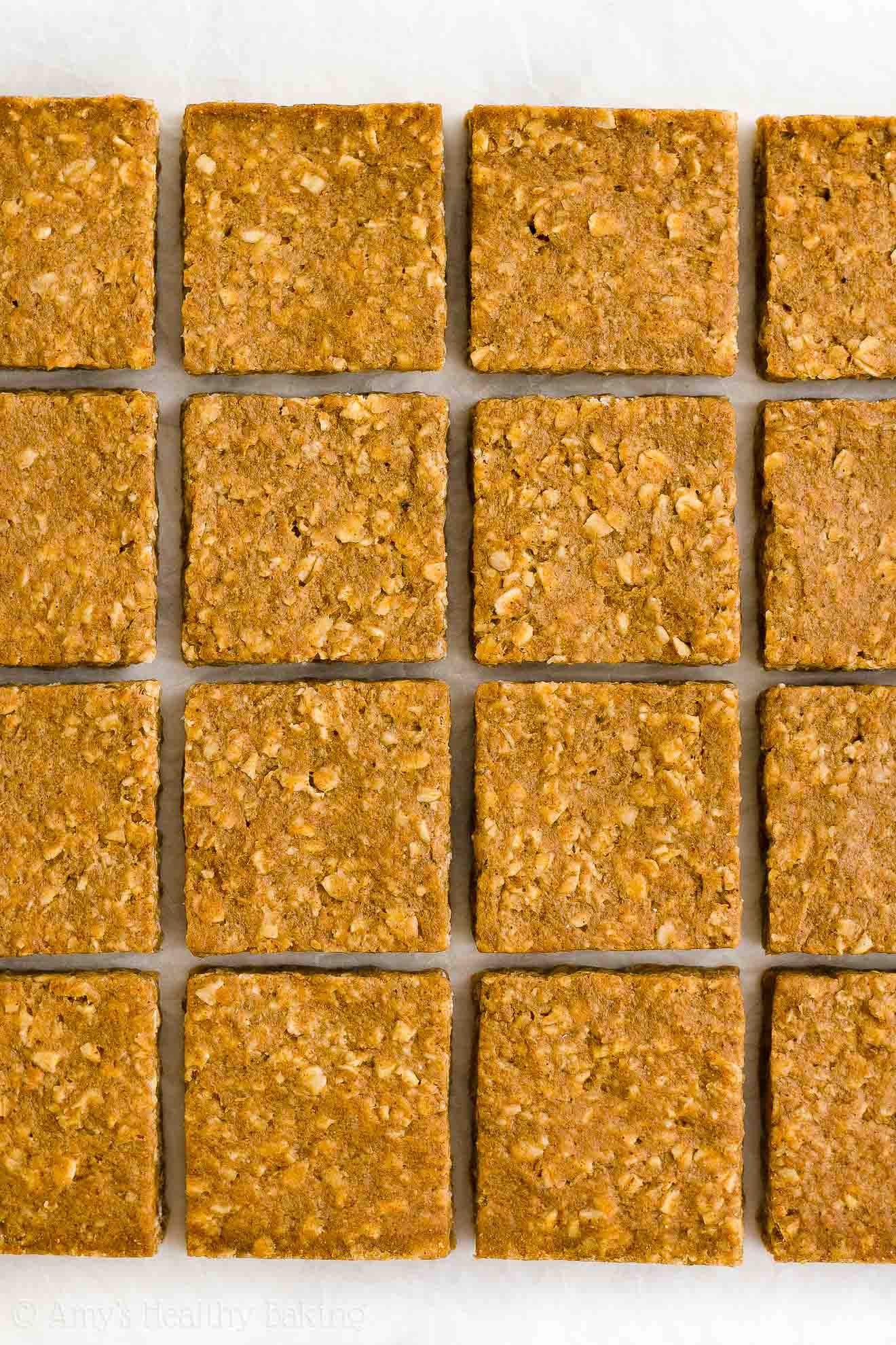 sixteen healthy pumpkin oatmeal bars neatly arranged in four tidy rows – easy oat bars recipe for breakfasts and snacks – vegan, gluten free, egg free, dairy free, and clean eating with whole wheat and gluten free options – made with oats, pumpkin, spices, and no refined sugar